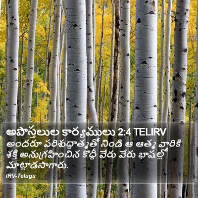అపొస్తలుల కార్యములు 2:4 TELIRV Bible Verse Image