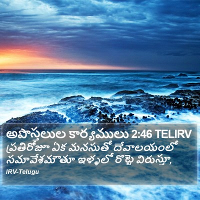 అపొస్తలుల కార్యములు 2:46 TELIRV Bible Verse Image