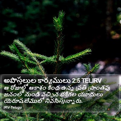 అపొస్తలుల కార్యములు 2:5 TELIRV Bible Verse Image