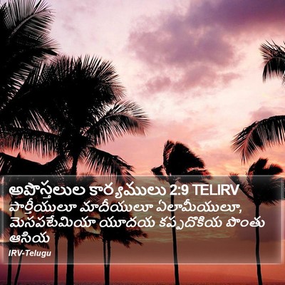 అపొస్తలుల కార్యములు 2:9 TELIRV Bible Verse Image