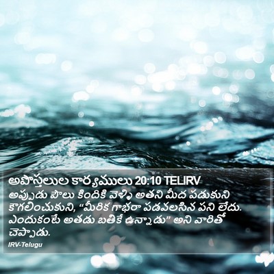 అపొస్తలుల కార్యములు 20:10 TELIRV Bible Verse Image
