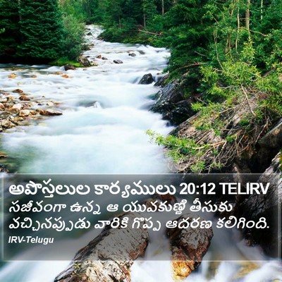 అపొస్తలుల కార్యములు 20:12 TELIRV Bible Verse Image