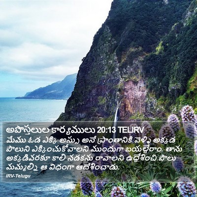 అపొస్తలుల కార్యములు 20:13 TELIRV Bible Verse Image
