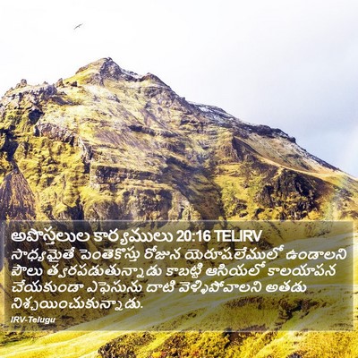 అపొస్తలుల కార్యములు 20:16 TELIRV Bible Verse Image