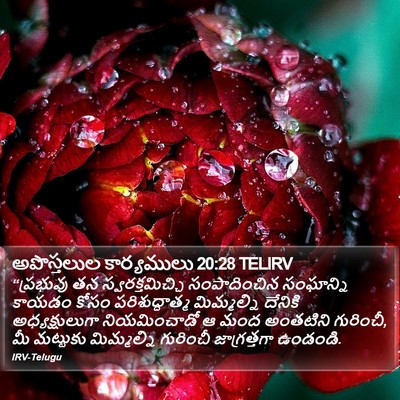 అపొస్తలుల కార్యములు 20:28 TELIRV Bible Verse Image