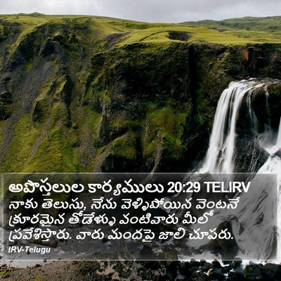 అపొస్తలుల కార్యములు 20:29 TELIRV Bible Verse Image