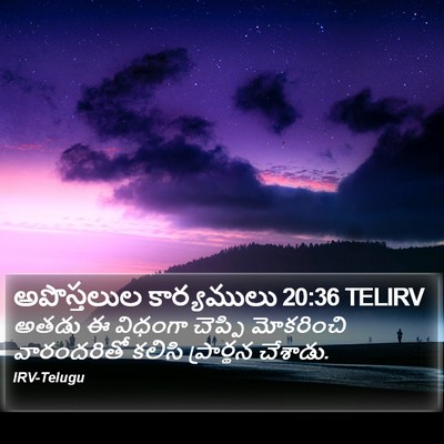 అపొస్తలుల కార్యములు 20:36 TELIRV Bible Verse Image