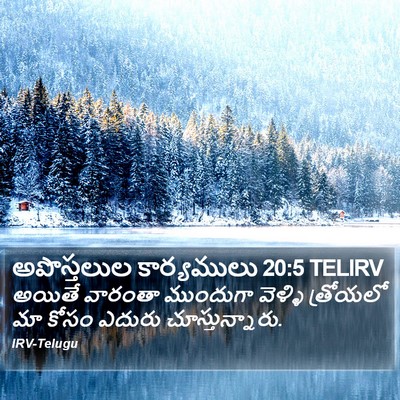 అపొస్తలుల కార్యములు 20:5 TELIRV Bible Verse Image