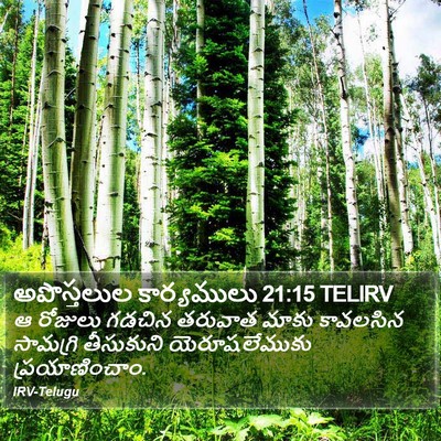 అపొస్తలుల కార్యములు 21:15 TELIRV Bible Verse Image