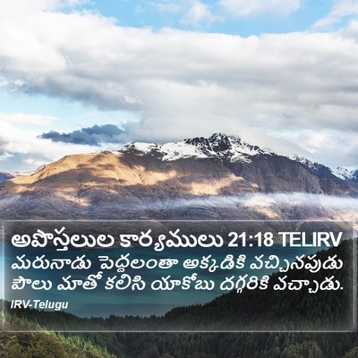 అపొస్తలుల కార్యములు 21:18 TELIRV Bible Verse Image