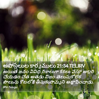 అపొస్తలుల కార్యములు 21:34 TELIRV Bible Verse Image