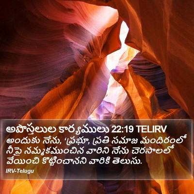 అపొస్తలుల కార్యములు 22:19 TELIRV Bible Verse Image
