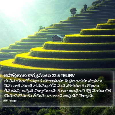 అపొస్తలుల కార్యములు 22:5 TELIRV Bible Verse Image