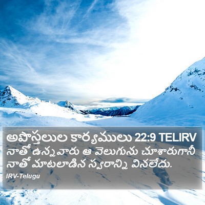 అపొస్తలుల కార్యములు 22:9 TELIRV Bible Verse Image