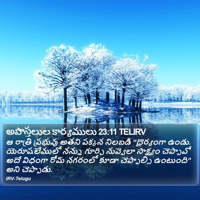అపొస్తలుల కార్యములు 23:11 TELIRV Bible Verse Image