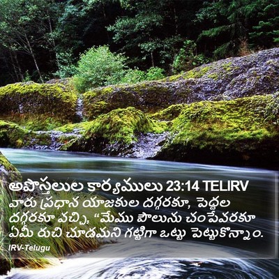 అపొస్తలుల కార్యములు 23:14 TELIRV Bible Verse Image