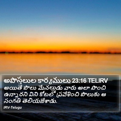 అపొస్తలుల కార్యములు 23:16 TELIRV Bible Verse Image
