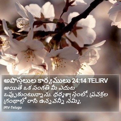 అపొస్తలుల కార్యములు 24:14 TELIRV Bible Verse Image