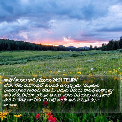 అపొస్తలుల కార్యములు 24:21 TELIRV Bible Verse Image