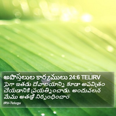 అపొస్తలుల కార్యములు 24:6 TELIRV Bible Verse Image