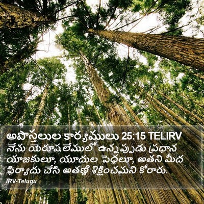 అపొస్తలుల కార్యములు 25:15 TELIRV Bible Verse Image
