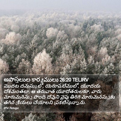 అపొస్తలుల కార్యములు 26:20 TELIRV Bible Verse Image