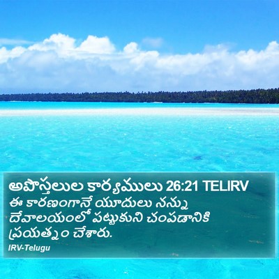 అపొస్తలుల కార్యములు 26:21 TELIRV Bible Verse Image