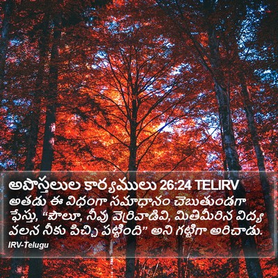 అపొస్తలుల కార్యములు 26:24 TELIRV Bible Verse Image