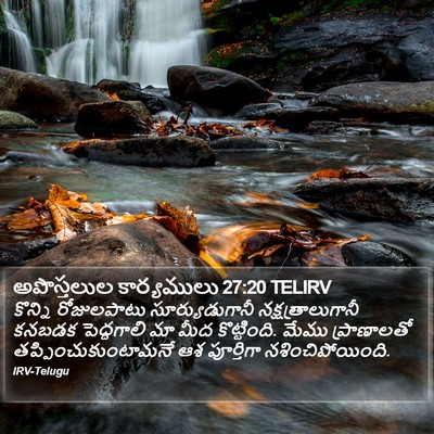 అపొస్తలుల కార్యములు 27:20 TELIRV Bible Verse Image