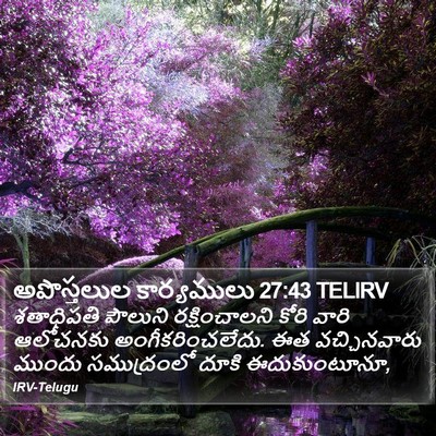 అపొస్తలుల కార్యములు 27:43 TELIRV Bible Verse Image