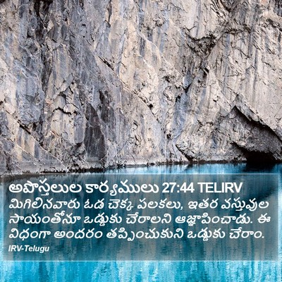 అపొస్తలుల కార్యములు 27:44 TELIRV Bible Verse Image