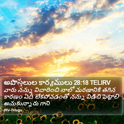అపొస్తలుల కార్యములు 28:18 TELIRV Bible Verse Image