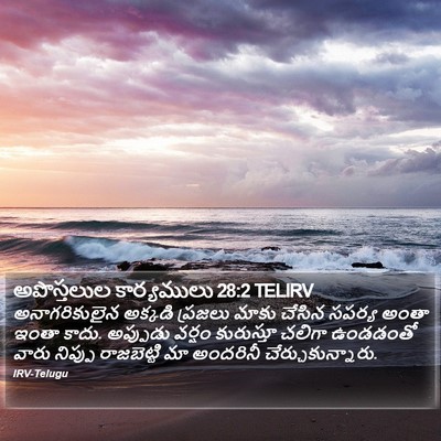 అపొస్తలుల కార్యములు 28:2 TELIRV Bible Verse Image