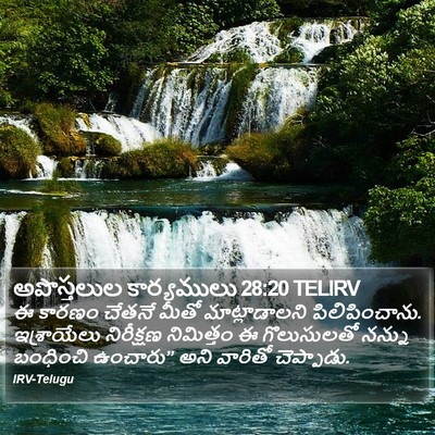 అపొస్తలుల కార్యములు 28:20 TELIRV Bible Verse Image