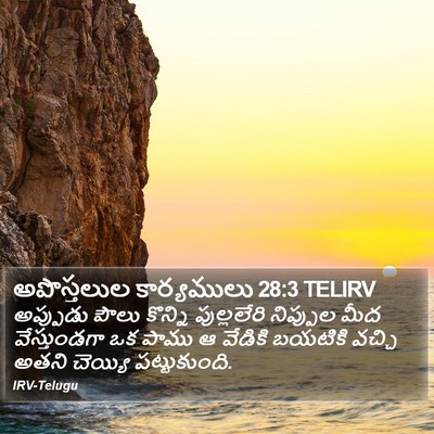 అపొస్తలుల కార్యములు 28:3 TELIRV Bible Verse Image