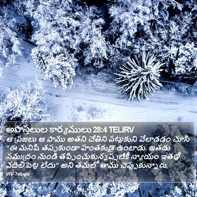 అపొస్తలుల కార్యములు 28:4 TELIRV Bible Verse Image