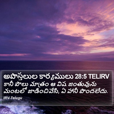 అపొస్తలుల కార్యములు 28:5 TELIRV Bible Verse Image
