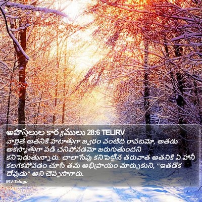 అపొస్తలుల కార్యములు 28:6 TELIRV Bible Verse Image