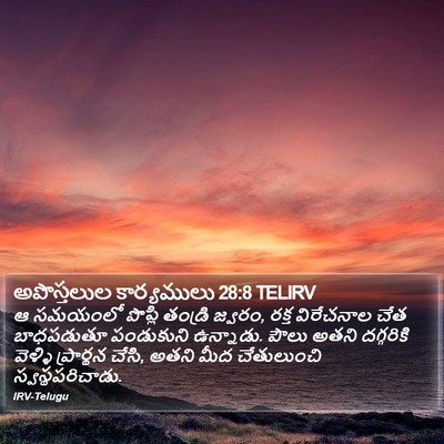 అపొస్తలుల కార్యములు 28:8 TELIRV Bible Verse Image