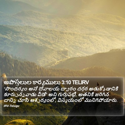 అపొస్తలుల కార్యములు 3:10 TELIRV Bible Verse Image