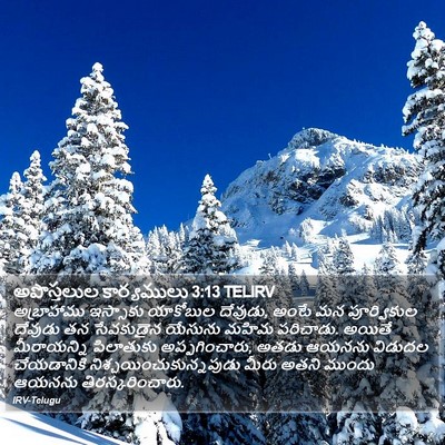 అపొస్తలుల కార్యములు 3:13 TELIRV Bible Verse Image