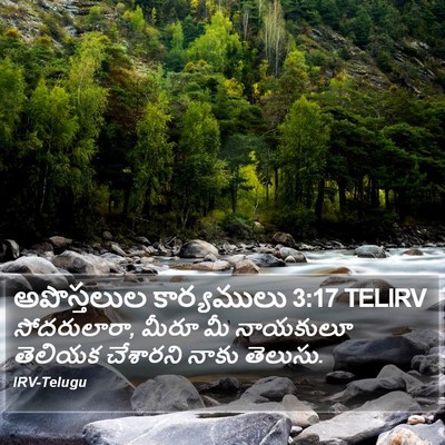 అపొస్తలుల కార్యములు 3:17 TELIRV Bible Verse Image