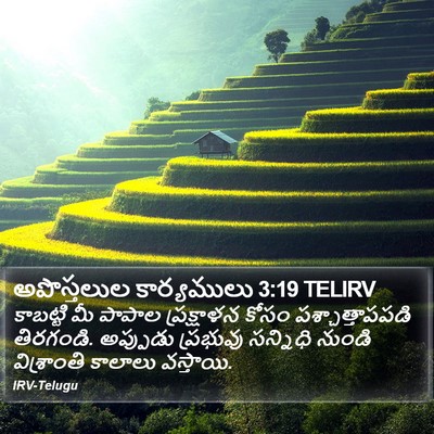 అపొస్తలుల కార్యములు 3:19 TELIRV Bible Verse Image