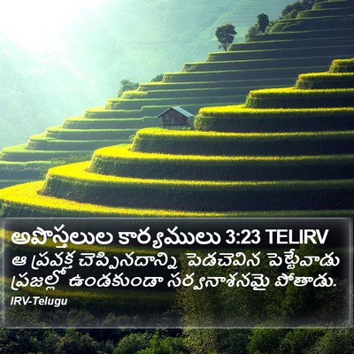అపొస్తలుల కార్యములు 3:23 TELIRV Bible Verse Image