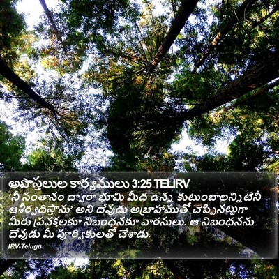 అపొస్తలుల కార్యములు 3:25 TELIRV Bible Verse Image