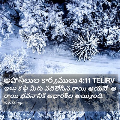 అపొస్తలుల కార్యములు 4:11 TELIRV Bible Verse Image