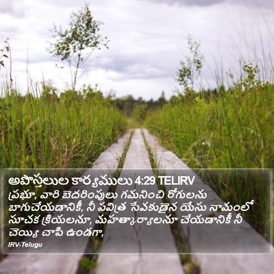 అపొస్తలుల కార్యములు 4:29 TELIRV Bible Verse Image
