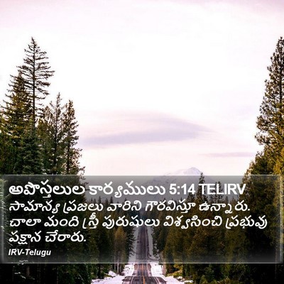 అపొస్తలుల కార్యములు 5:14 TELIRV Bible Verse Image