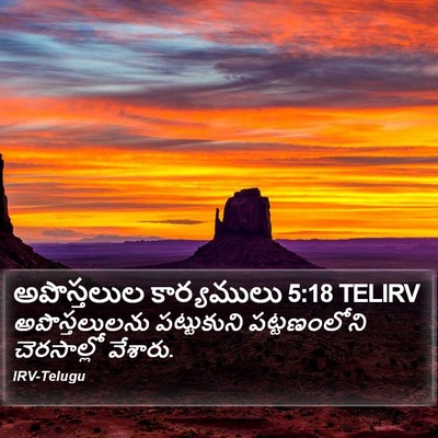 అపొస్తలుల కార్యములు 5:18 TELIRV Bible Verse Image