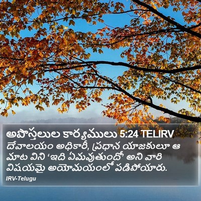 అపొస్తలుల కార్యములు 5:24 TELIRV Bible Verse Image